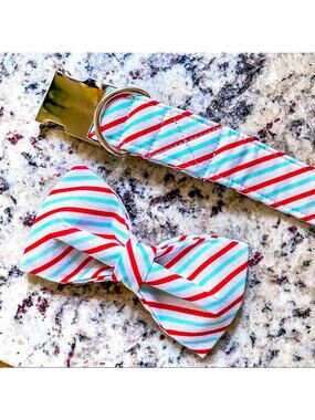 NWT • Red + Mint Striped Dog Bow + Collar